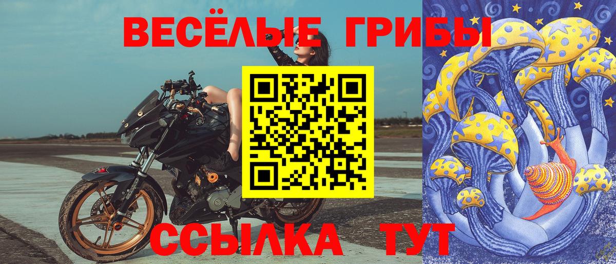 Псилоцибиновые грибы Psilocybe  Вход с VPN  Северобайкальск  Псилоцибиновые грибы Psilocybine cubensis 